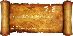 Turcsány Bálint névjegykártya